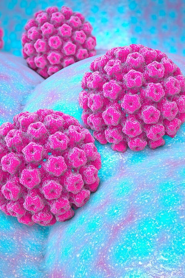 Mitos e verdades sobre o HPV