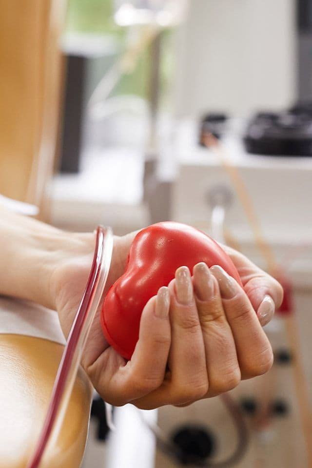 O que você precisa saber antes de doar sangue?