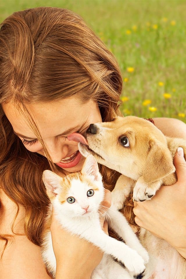 Raiva: Agosto é o mês de proteger seu pet